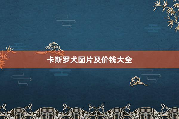卡斯罗犬图片及价钱大全